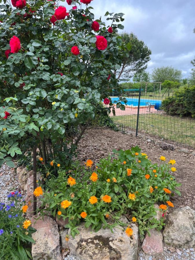 Gite De Fontjalabert En Campagne Tout Confort Lisle-sur-Tarn 外观 照片